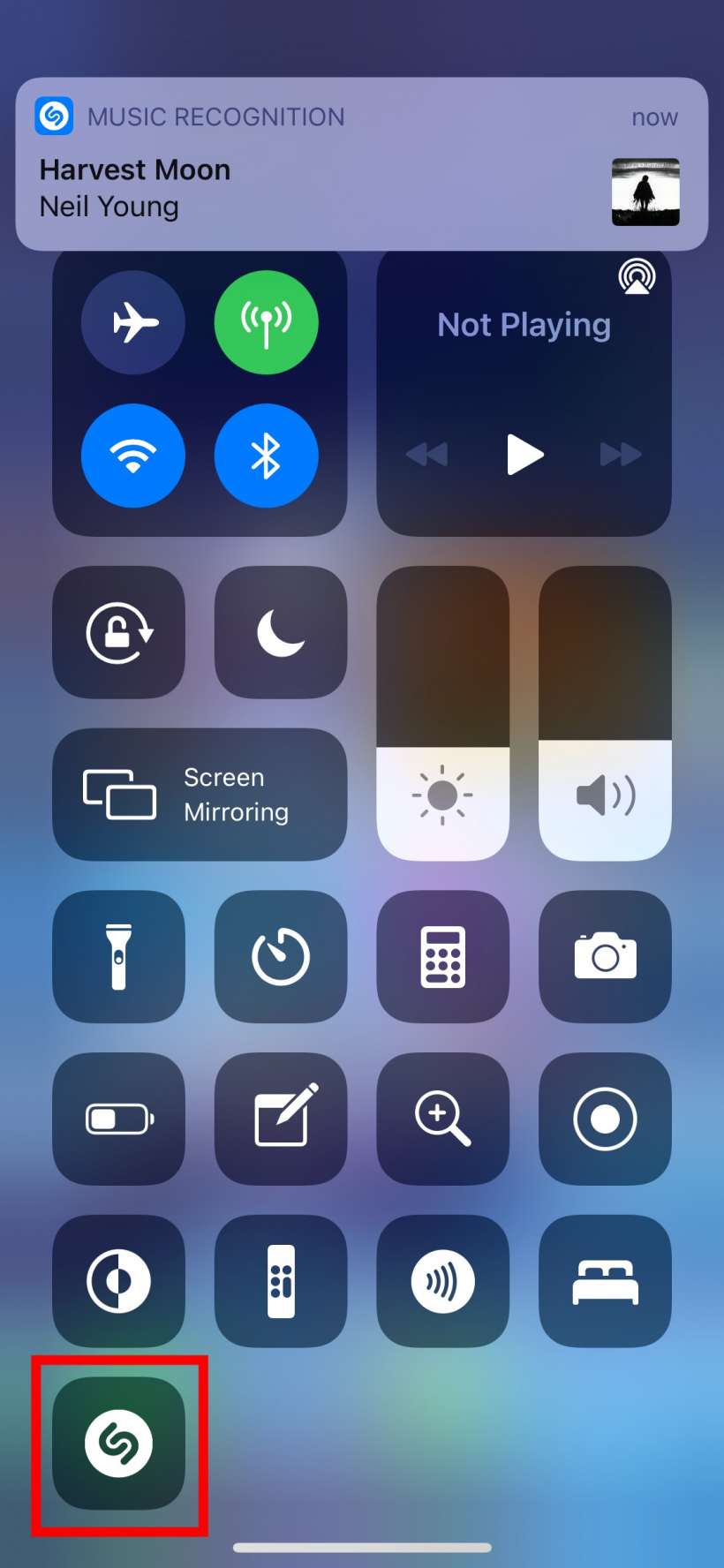 How to add Shazam it to Control Center on iPhone and iPad.