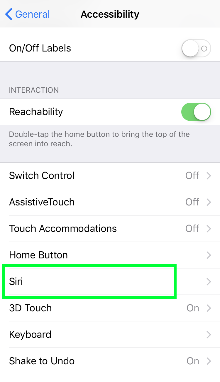 Type to Siri Settings