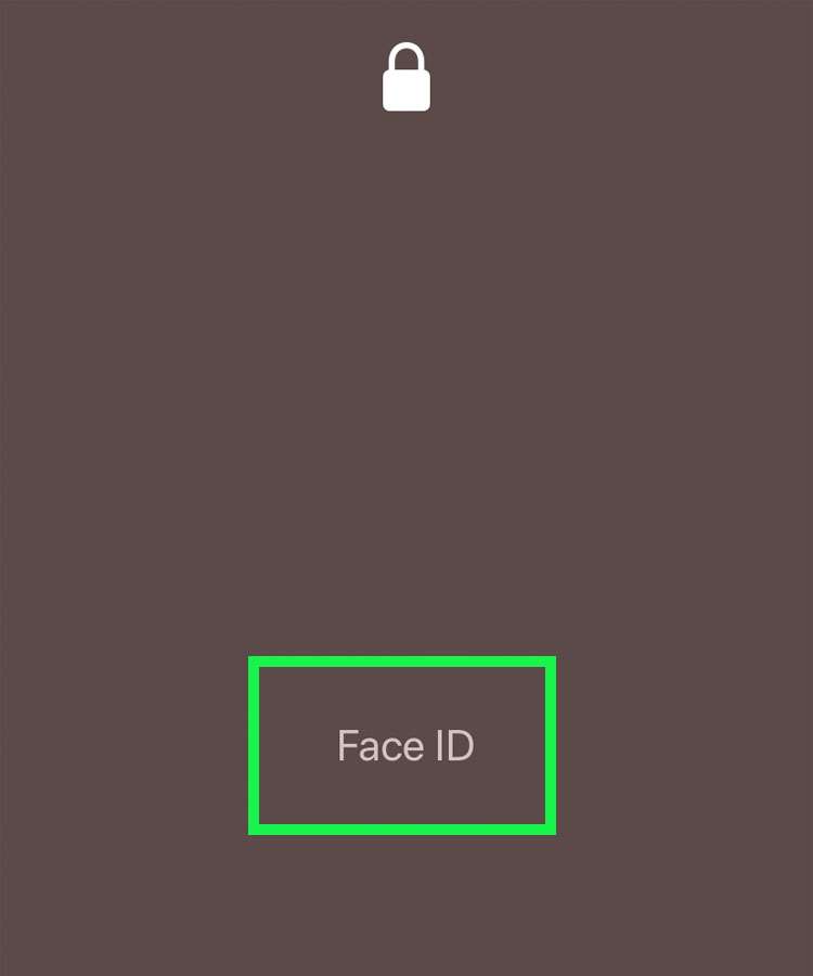 Bypass Face ID