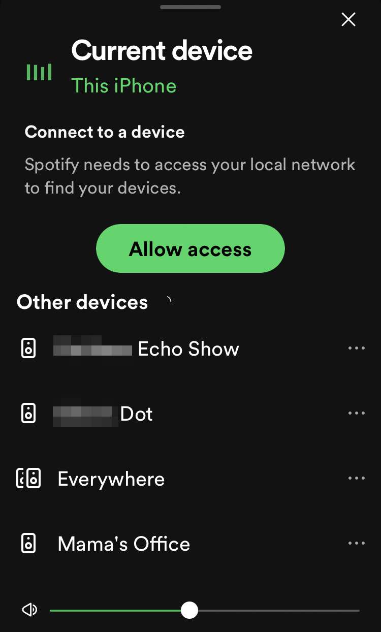 Spotify Connect