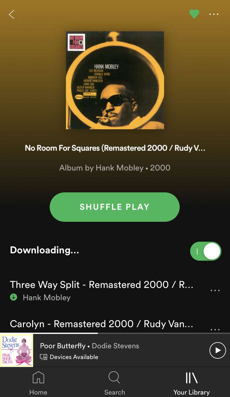 Spotify downloading Spotify downloading