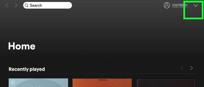 Spotify profile menu