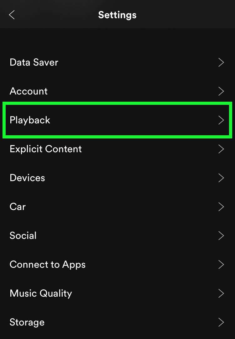 Spotify Playback settings