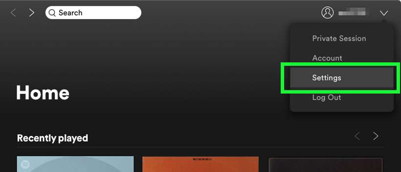 Spotify settings Spotify settings