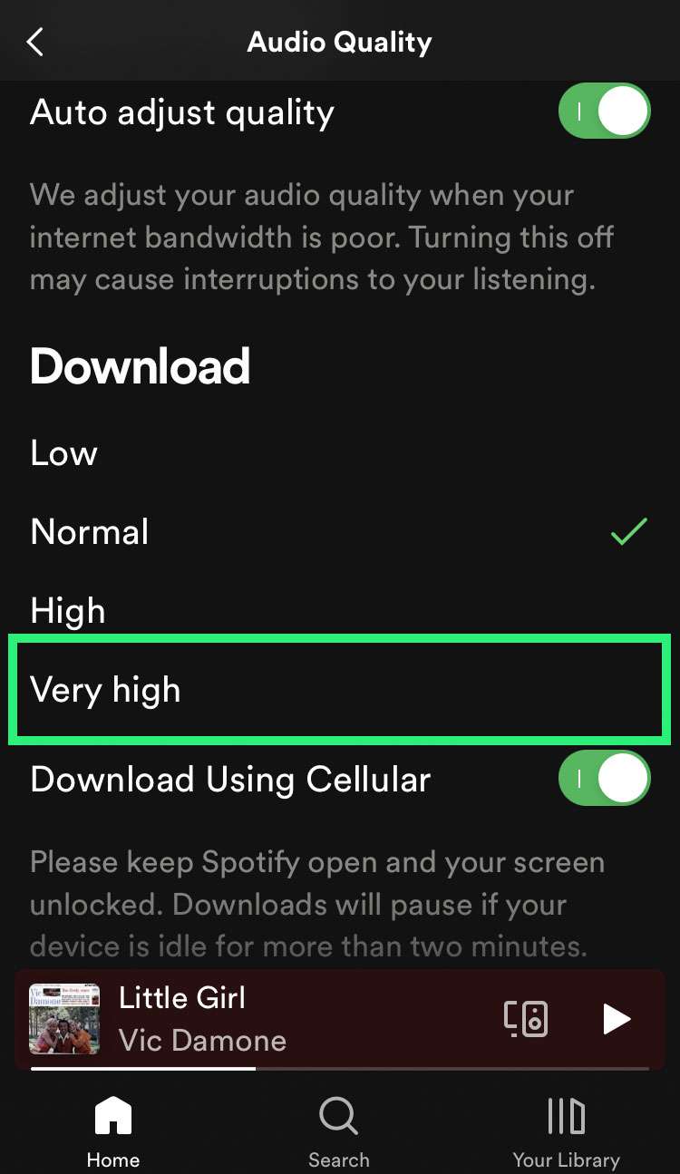 Spotify playback quality 4
