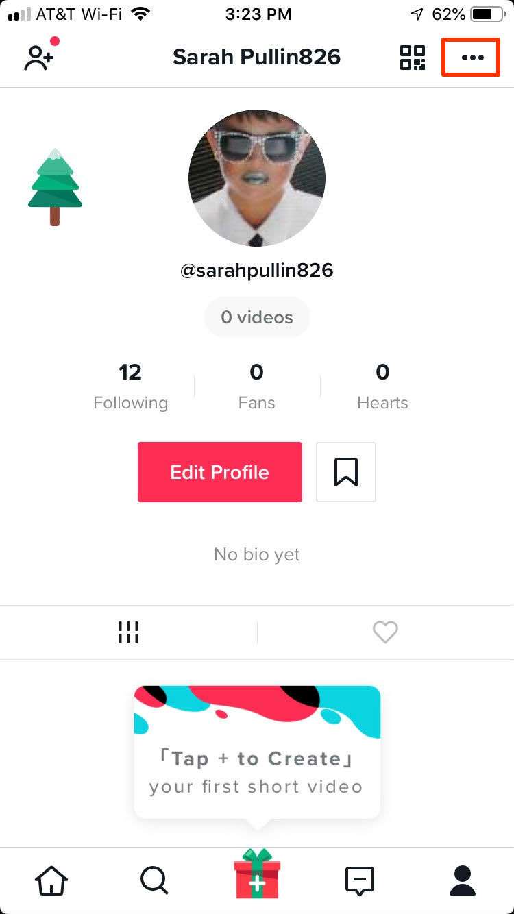 TikTok Profile Page