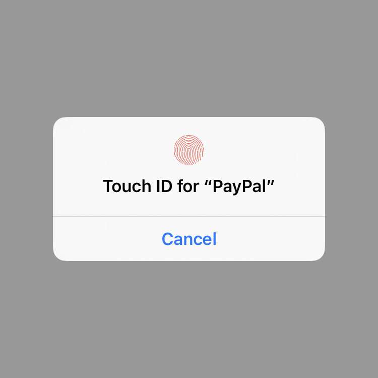 does iphone 11 pro max has touch id