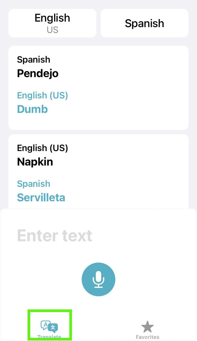 Translate history iOS