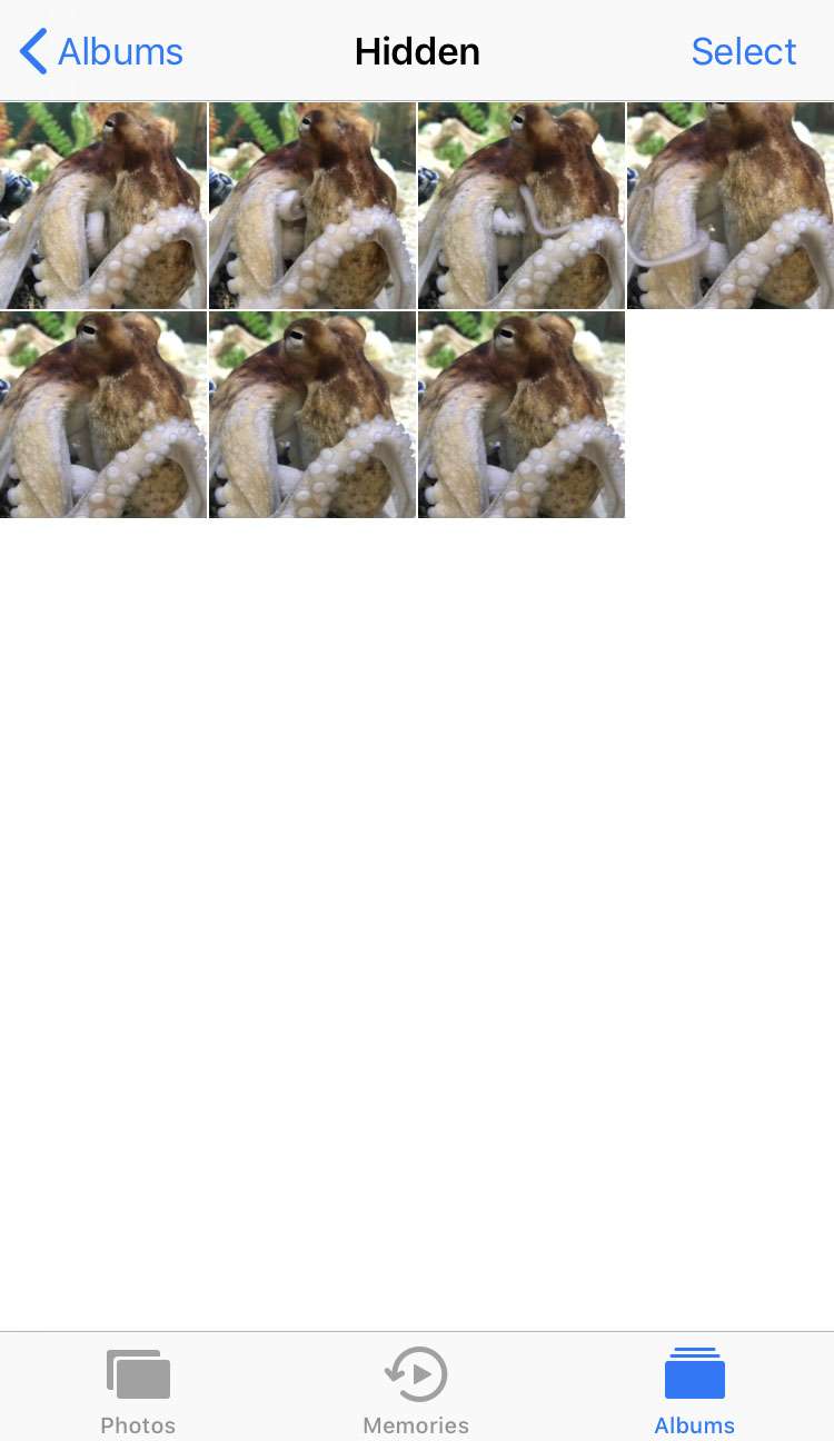 How to unhide photos on iPhone 2 How to unhide photos on iPhone 2