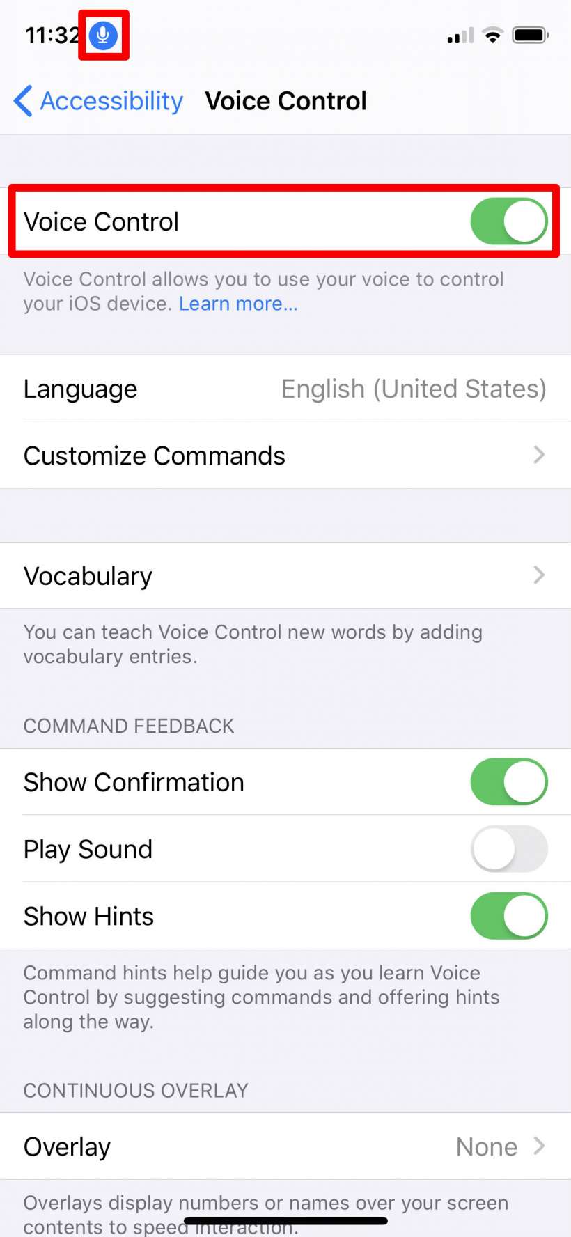 How to use Voice Control on iPhone and iPad.