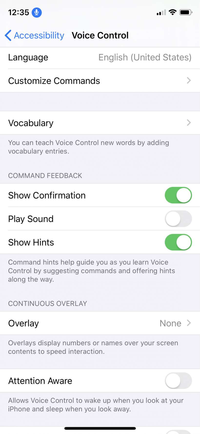 How to use Voice Control on iPhone and iPad.
