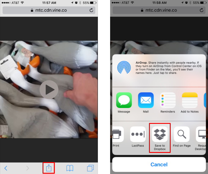 How to save Vine videos to your iPhone.