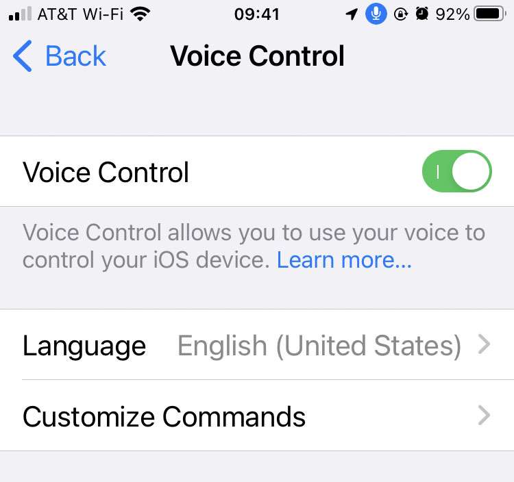 iPhone Voice Control icon