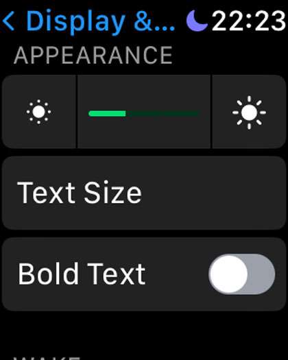 Apple Watch display and brightness