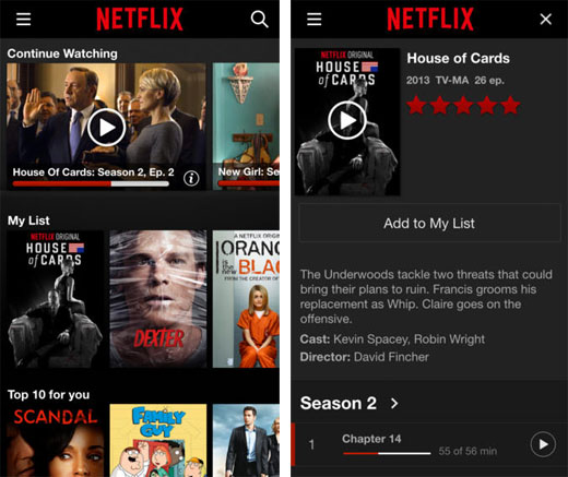 Netflix universal iOS app