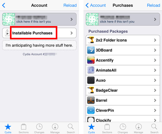 restore Cydia purchases2