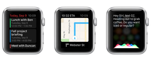 Image result for apple watch siri