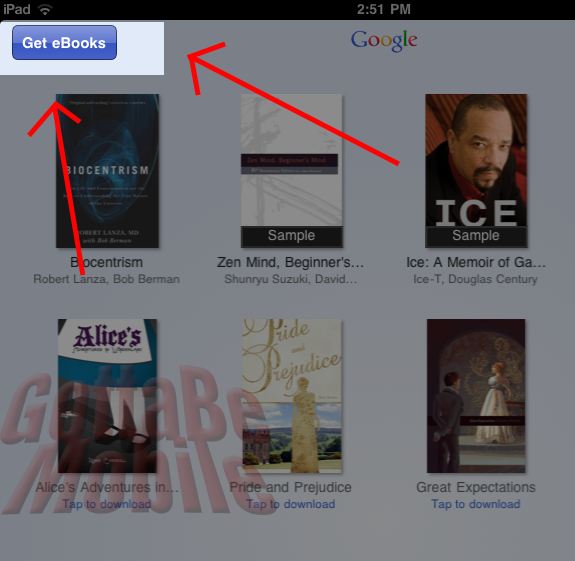 google books mia Google Books