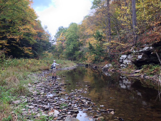 iphone camera grid iOS 7 rule of thirds4 iPhone camera grid using 4