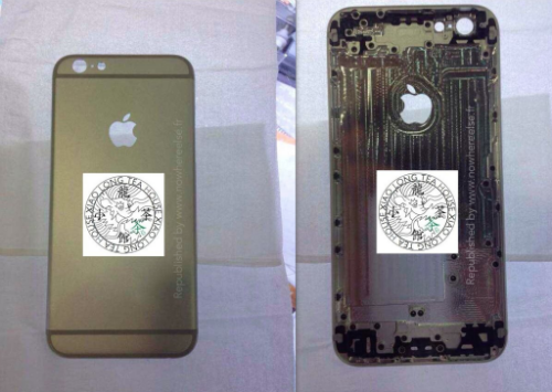 iPhone 6 Back Panel iPhone 6
