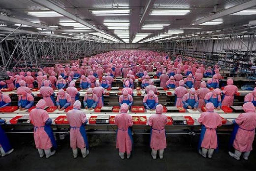 Foxconn to begin iPhone 6 production Foxconn to begin iPhone 6 production