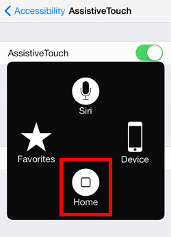 iOS 7 Assistive Touch Home